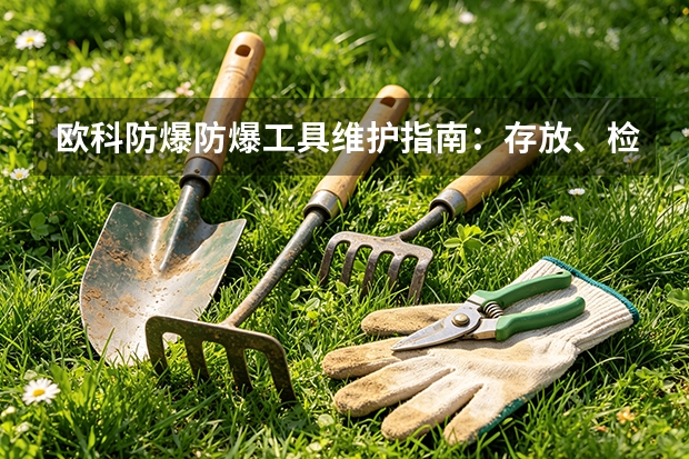 欧科防爆防爆工具维护指南：存放、检查与更换标准