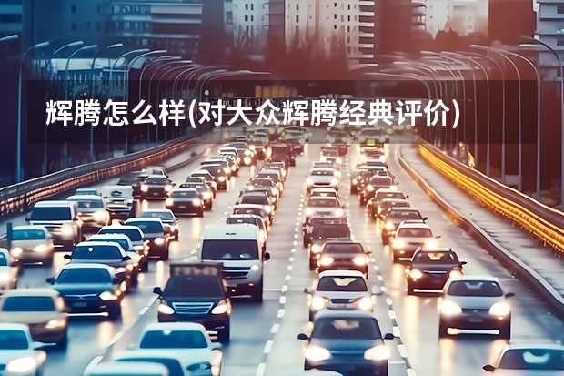 辉腾怎么样(对大众辉腾经典评价) 我大众朗逸想改减震用哪个好