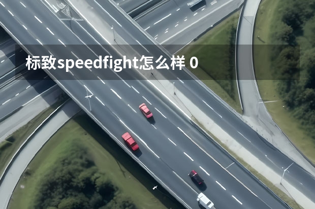 标致speedfight怎么样 05年东风标致307什么发动机