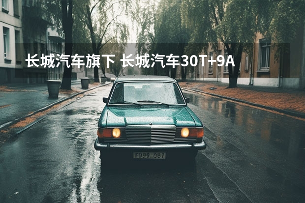 长城汽车旗下 长城汽车3.0T+9AT/9HAT发布会访谈