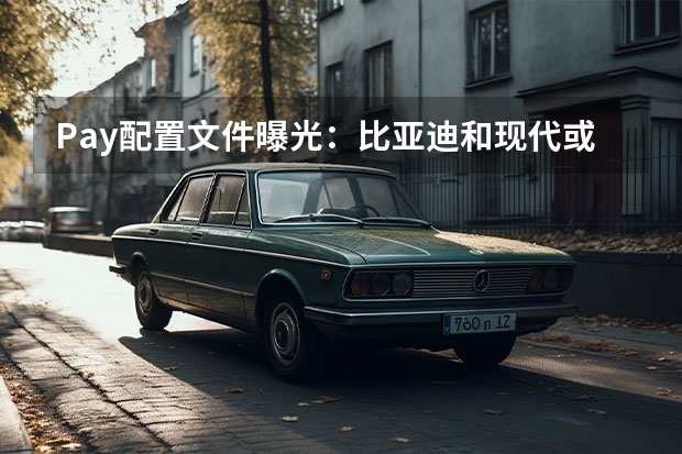 Pay配置文件曝光：比亚迪和现代或将支持苹果汽车钥匙 搭载DM