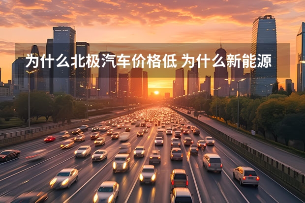 为什么北极汽车价格低 为什么新能源汽车的价格越来越低?