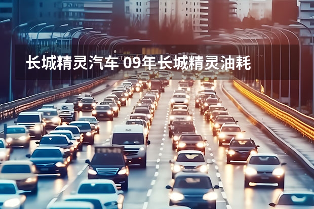 长城精灵汽车 09年长城精灵油耗