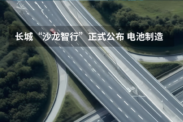 长城“沙龙智行”正式公布 电池制造商蜂巢能源计划明年在科创板上市