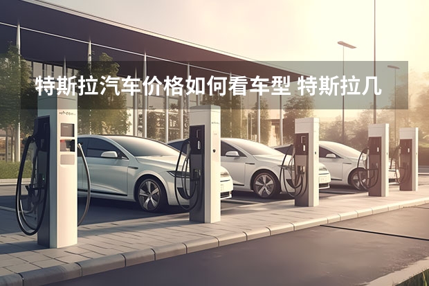 特斯拉汽车价格如何看车型 特斯拉几种车型对比？