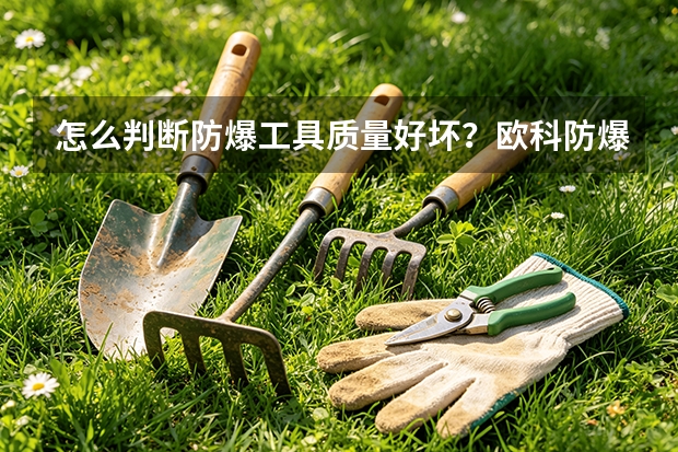怎么判断防爆工具质量好坏？欧科防爆检测方法
