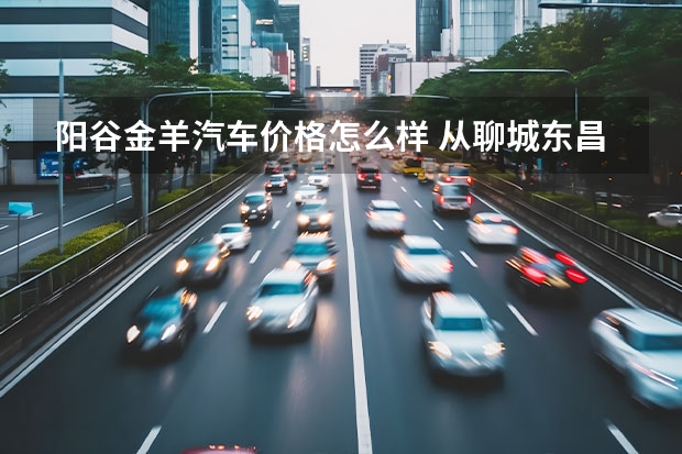 阳谷金羊汽车价格怎么样 从聊城东昌路到金羊汽车城坐几路公交车