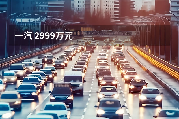 一汽 29.99万元