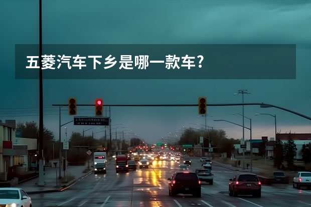 五菱汽车下乡是哪一款车?