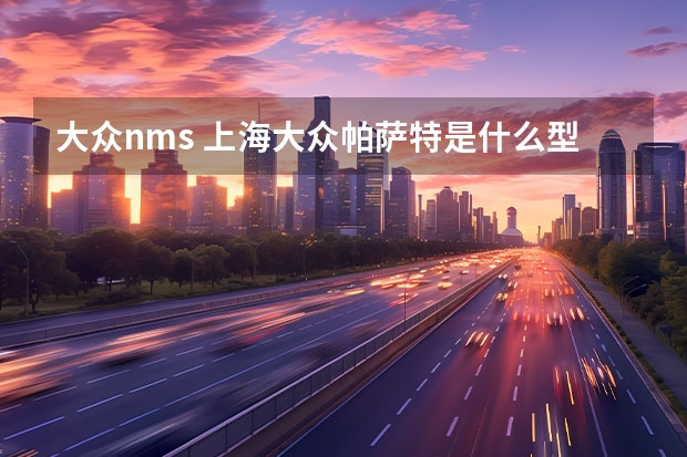 大众nms 上海大众帕萨特是什么型号发动机