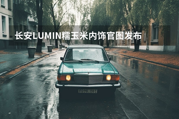 长安LUMIN糯玉米内饰官图发布 长安UNI
