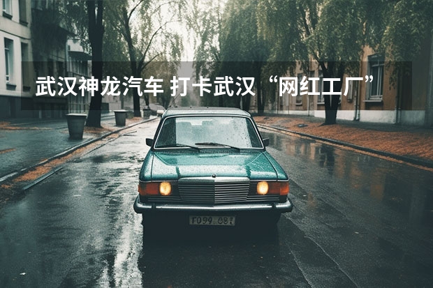 武汉神龙汽车 打卡武汉“网红工厂”窥见神龙汽车价格战背后的“内功心法”