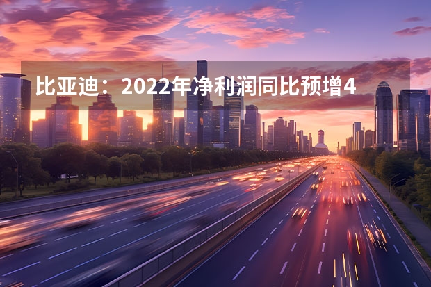 比亚迪：2022年净利润同比预增425.42% DM