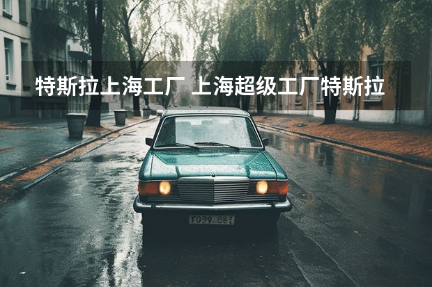 特斯拉上海工厂 上海超级工厂特斯拉地址