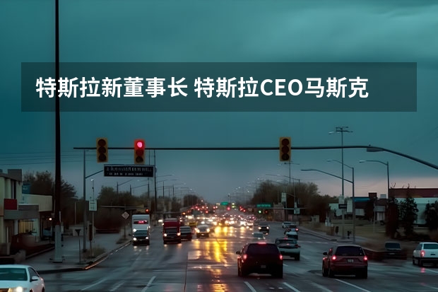 特斯拉新董事长 特斯拉CEO马斯克成全球首富，他曾有过哪些壮举？