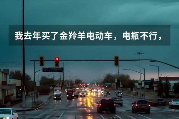 我去年买了金羚羊电动车,电瓶不行,经销商也不来了,我打电话到电动车公司,他们也不负责,你说我该怎么