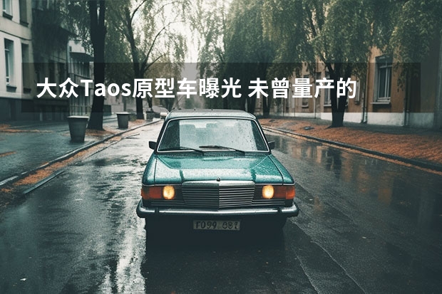 大众Taos原型车曝光 未曾量产的继任者辉腾D2解密