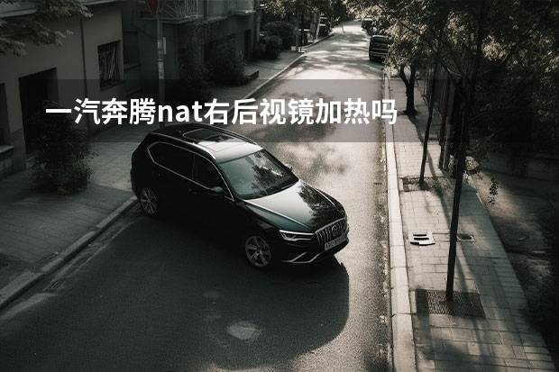 一汽奔腾nat右后视镜加热吗