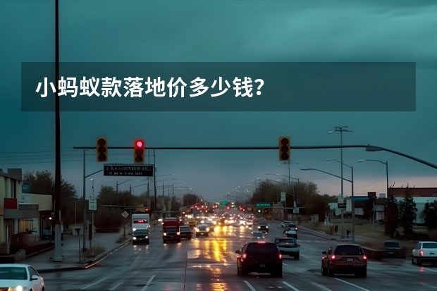 小蚂蚁款落地价多少钱？