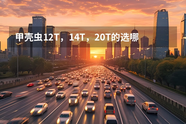 甲壳虫1.2T,1.4T,2.0T的选哪个好?
