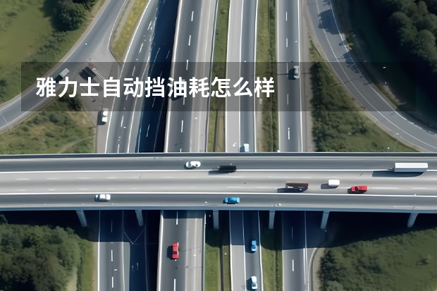 雅力士自动挡油耗怎么样