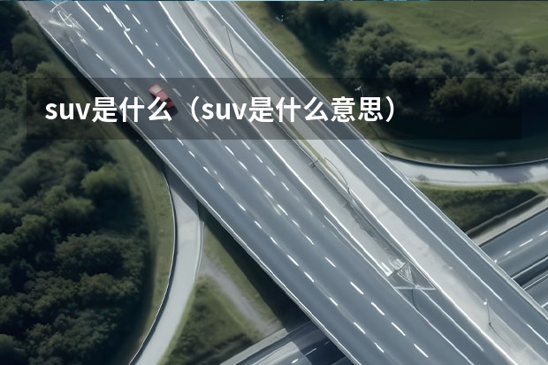 suv是什么（suv是什么意思）