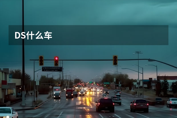 DS什么车