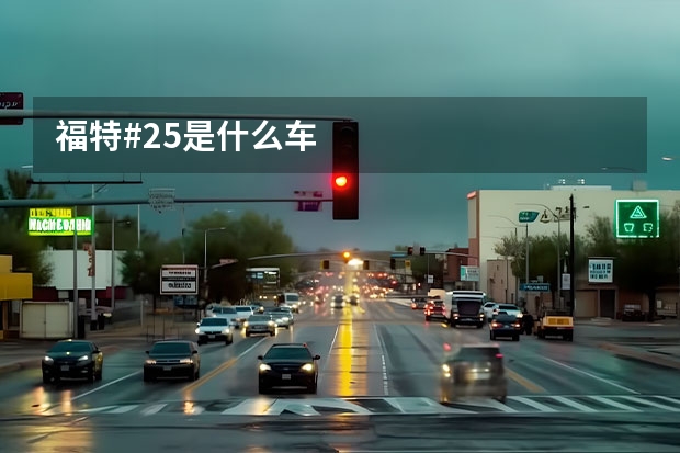 福特#25是什么车