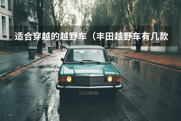 适合穿越的越野车(丰田越野车有几款)