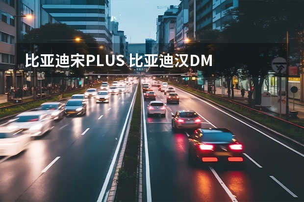 比亚迪宋PLUS 比亚迪汉DM