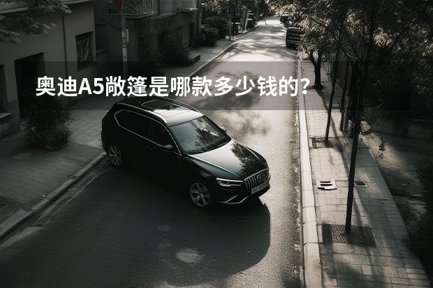 奥迪A5敞篷是哪款多少钱的?