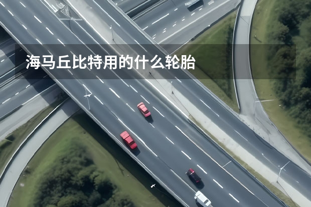 海马丘比特用的什么轮胎