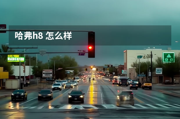 哈弗h8 怎么样