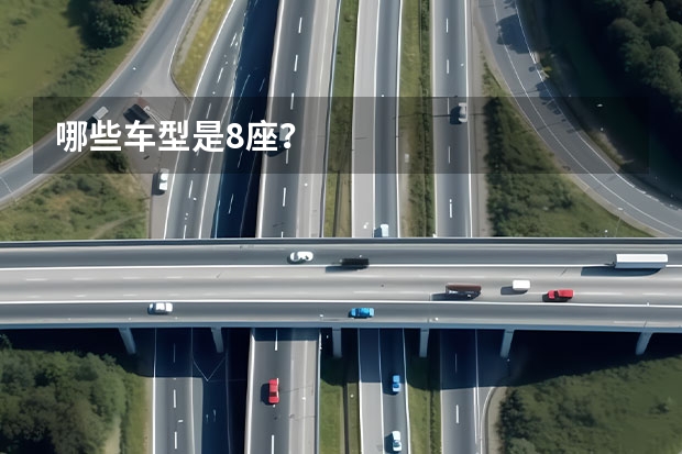 哪些车型是8座？