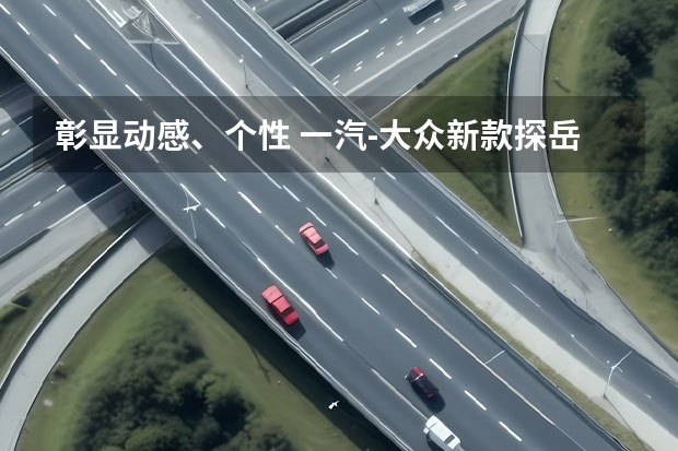 彰显动感、个性 一汽-大众新款探岳高光黑运动版产品力解析（一汽大众新款suv车型探岳）