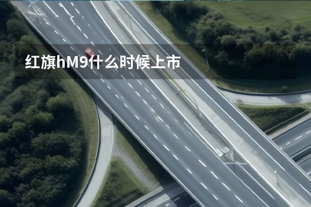红旗hM9什么时候上市
