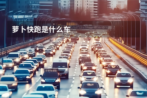 萝卜快跑是什么车