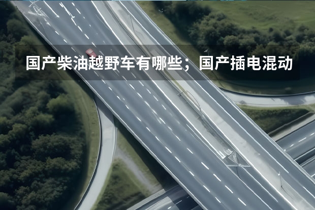 国产柴油越野车有哪些;国产插电混动轿车有哪些