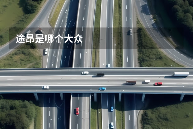 途昂是哪个大众