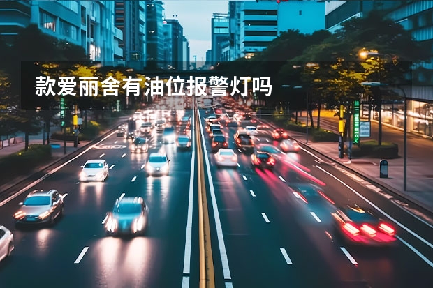 款爱丽舍有油位报警灯吗