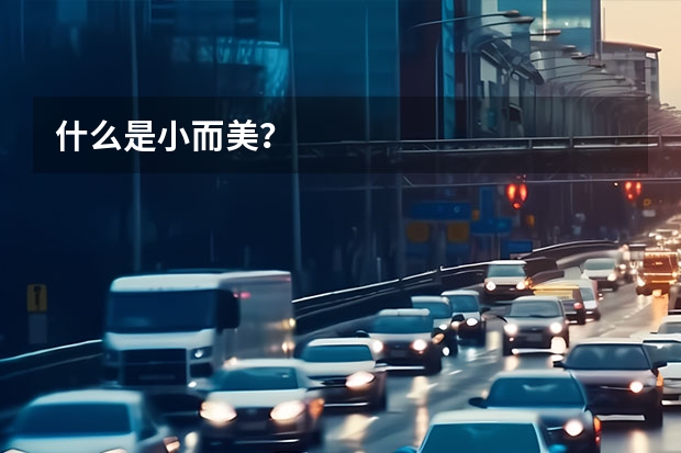 什么是小而美?