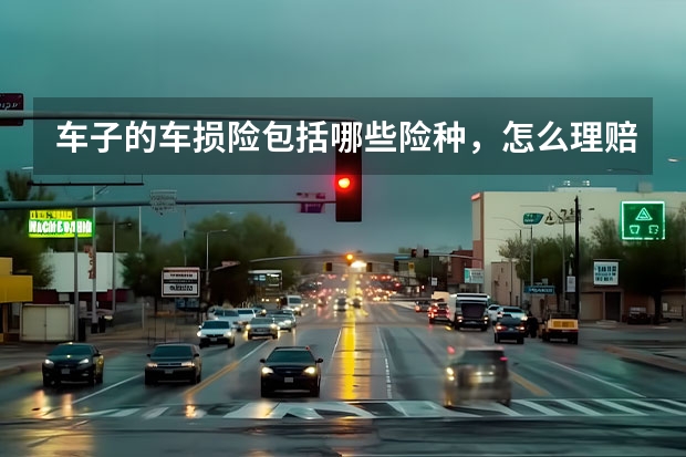 车子的车损险包括哪些险种，怎么理赔的呢？