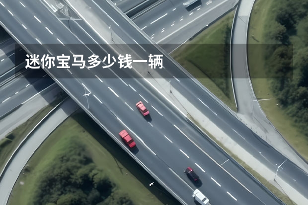 迷你宝马多少钱一辆