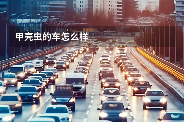 甲壳虫的车怎么样