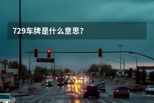 729车牌是什么意思？