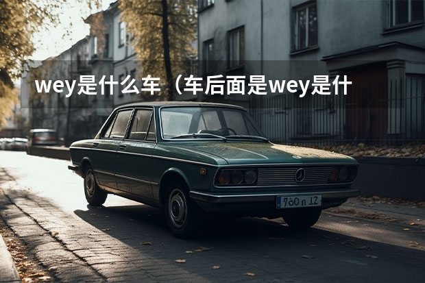 wey是什么车（车后面是wey是什么车）