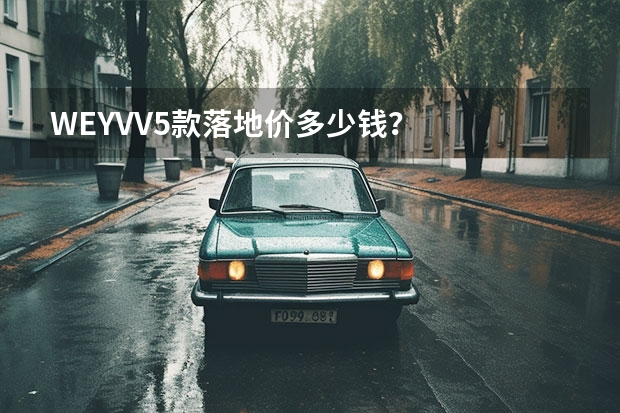 WEYVV5款落地价多少钱？