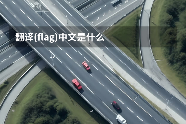 翻译(flag)中文是什么