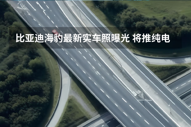 比亚迪海豹最新实车照曝光 将推纯电皮卡/插混皮卡