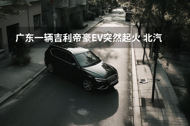 广东一辆吉利帝豪EV突然起火 北汽集团超越吉利成戴姆勒第一大股东